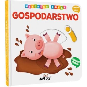 Motoryka Smyka. Gospodarstwo