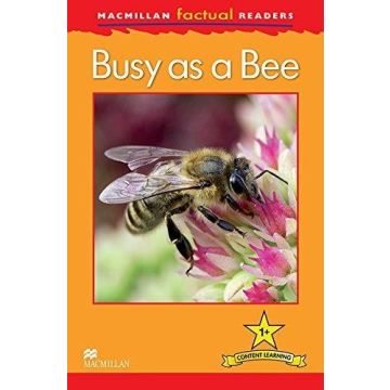 Factual: Busy as a Bee 1+