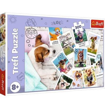 Puzzle 300 Zdjęcia z wakacji TREFL