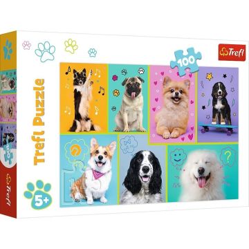 Puzzle 100 W świecie piesków TREFL