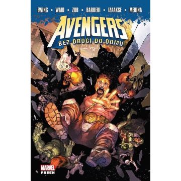 Avengers. Bez drogi do domu