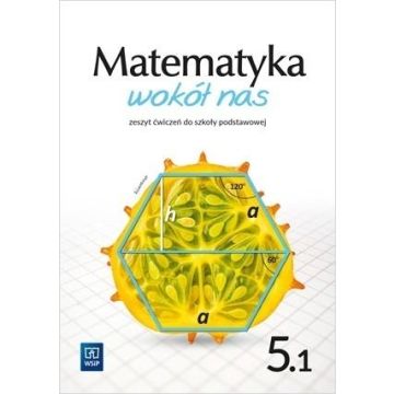 Matematyka Wokół nas SP 5/1 ćw. WSIP