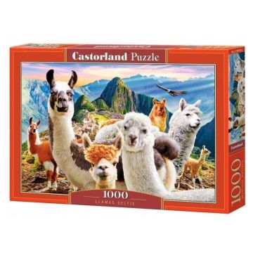 Puzzle 1000 Lamy CASTOR