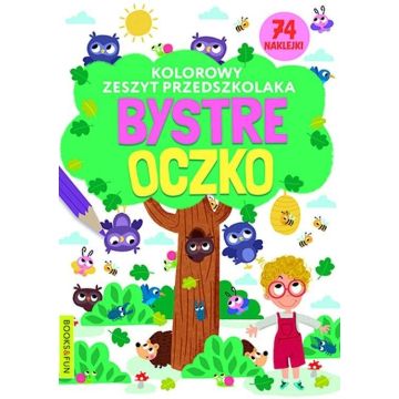 Kolorowy zeszyt przedszkolaka. Bystre oczko