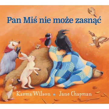 Pan Miś nie może zasnąć