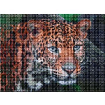 Diamentowa mozaika - Dziki wygląd 30x40cm