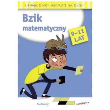 Bzik matematyczny. Łamigłówki mądrej główki