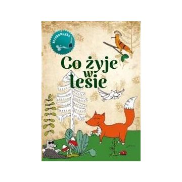 Co żyje w lesie Kolorowanka