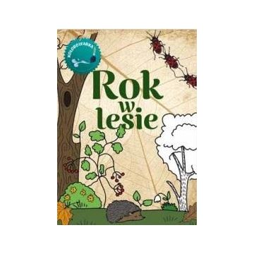 Rok w lesie Kolorowanka