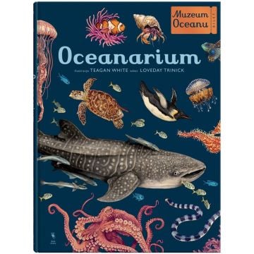 Muzeum Oceanu. Oceanarium