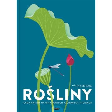 Rośliny. Cuda natury na wyjątkowych ażurowych ryci