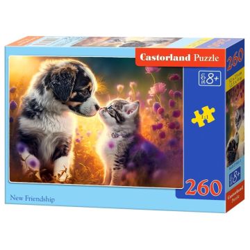 Puzzle 260 New Friendship CASTOR