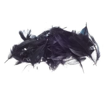 Pióra czarne 5-12cm 7g