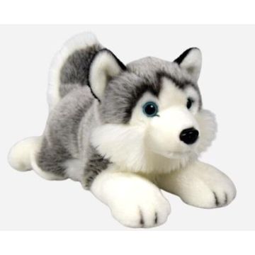Husky leżący 34cm