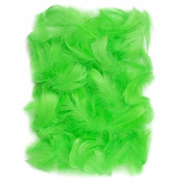 Piórka zielone 5-12cm 10g