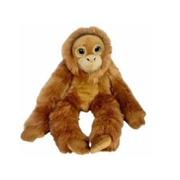 Orangutan big eyes 50cm