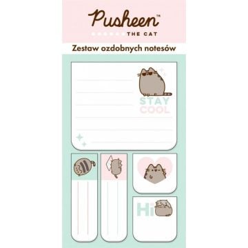Zestaw 5 notesów ozdobnych Pusheen