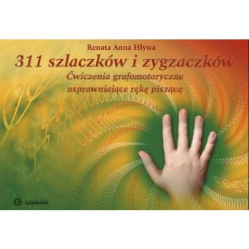 311 szlaczków i zygzaczków