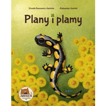 Plany i plamy