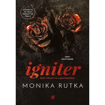 Igniter. Myśli, których nie wypowiedziałem