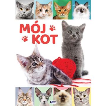 Mój kot