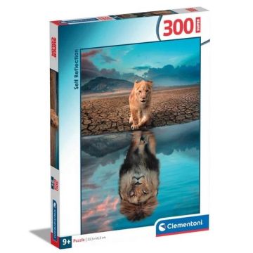 Puzzle 300 Super Self Reflection
