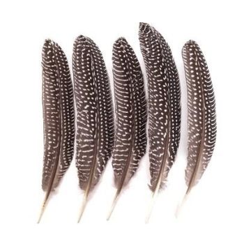 Pióra bażanta 18-20cm 5szt