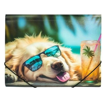 Teczka A4 PP z nadrukiem Chillout Dog