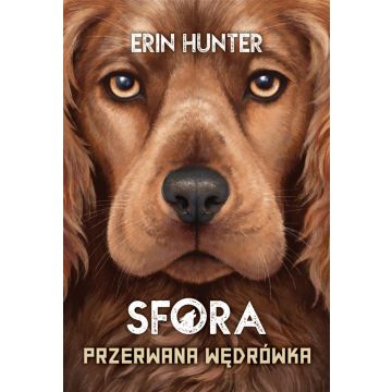 Sfora T.4 Przerwana wędrówka