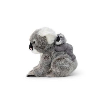 Koala z dzieckiem