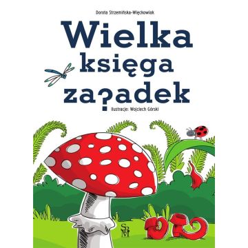 Wielka księga zagadek