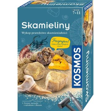 Zestaw Archeologiczny Skamieliny PIATNIK