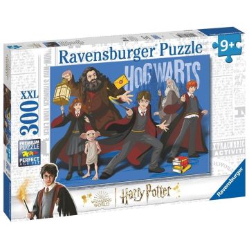 Puzzle 2D 300 Magiczna Brygada