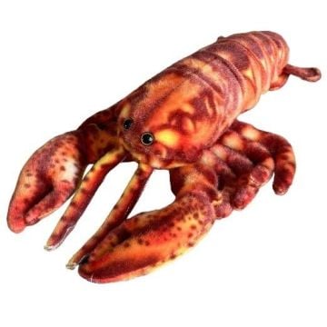 Homar 28cm