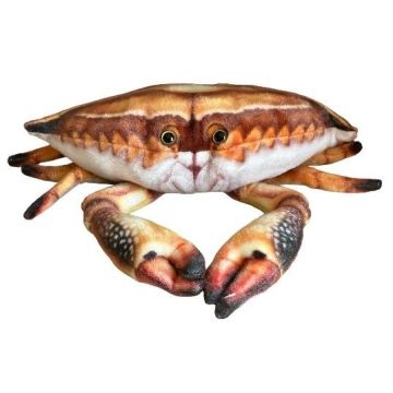 Krab 31cm