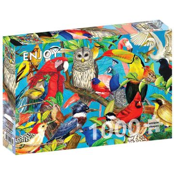 Puzzle 1000 Kolorowe ptaki