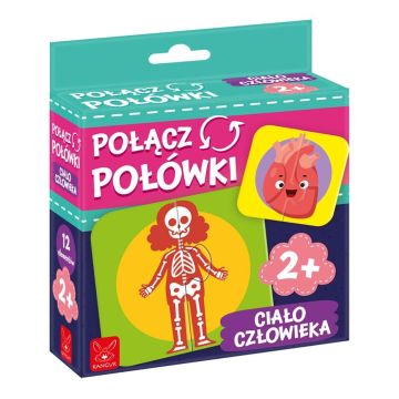 Połącz połówki Ciało Człowieka