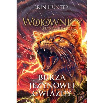 Burza Jeżynowej Gwiazdy. Wojownicy