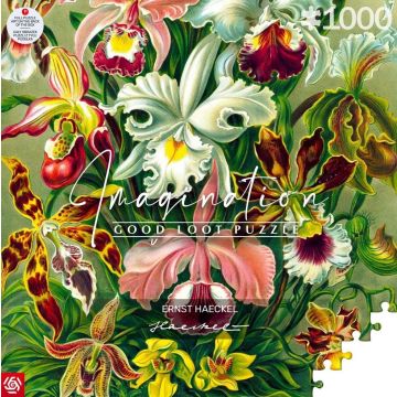 Puzzle 1000 Ernst Haeckel Orchidea / Orchid