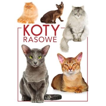 Koty rasowe