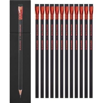 Zestaw 12 miękkich ołówków Blackwing x Moleskine