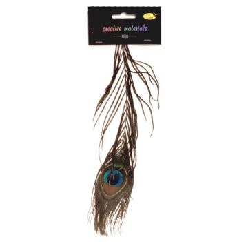 Pióro pawia 25cm