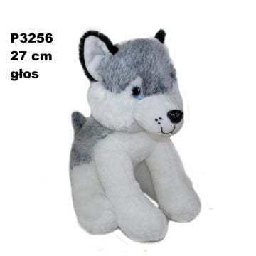 Pies husky z głosem 24cm