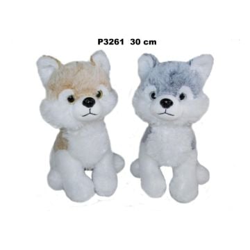 Pies husky 30cm MIX