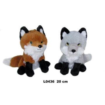 Lis 20cm MIX