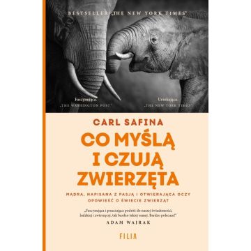 Co myślą i czują zwierzęta