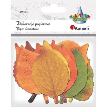 Dekoracje kartonowe Liście mix 30szt