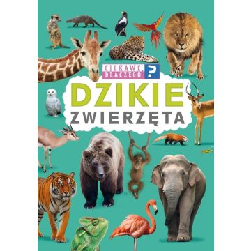 Ciekawe, dlaczego? Dzikie zwierzęta