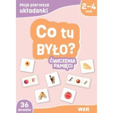 Moje pierwsze układanki. Co tu było? Ćw. pamięci