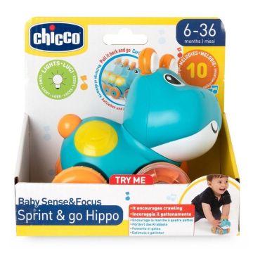Jeżdżący Hipcio